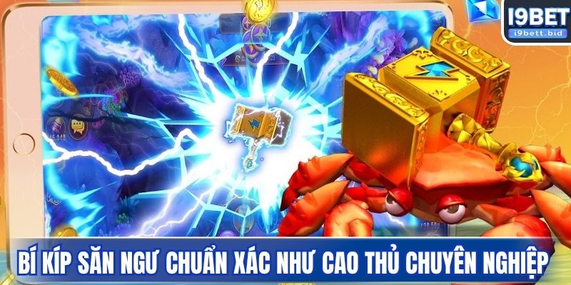 Bí kíp săn ngư chuẩn xác như cao thủ chuyên nghiệp