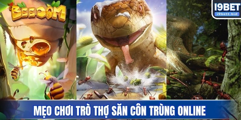 Mẹo chơi trò thợ săn côn trùng online