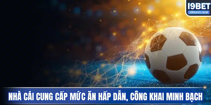 Nhà cái cung cấp mức ăn hấp dẫn, công khai minh bạch