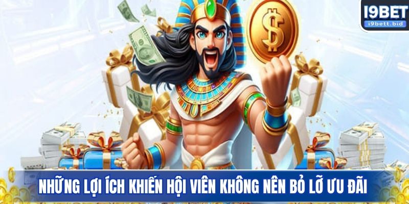 Những lợi ích khiến hội viên không nên bỏ lỡ ưu đãi